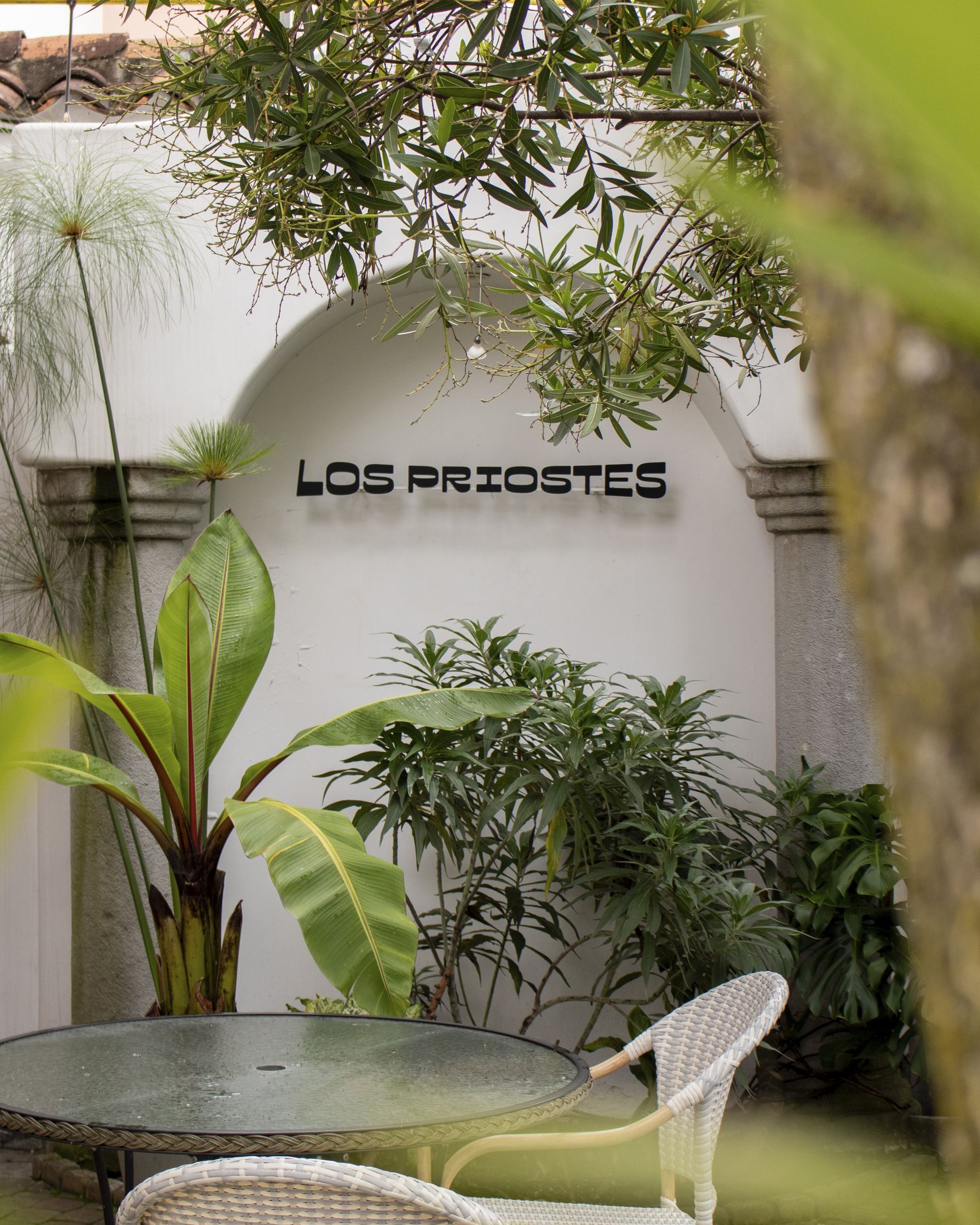 Patio interior de Los Priostes en Cuenca, con pared blanca, vegetación tropical y mesas al aire libre